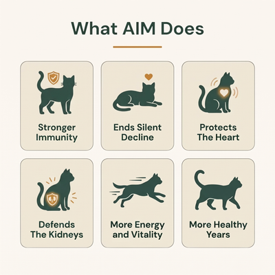 HappyWags™ AIM Immune Defense