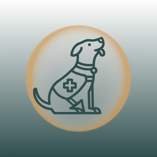 3 Meals for Rescue Dogs Facing Hunger ❤️ (Copy)