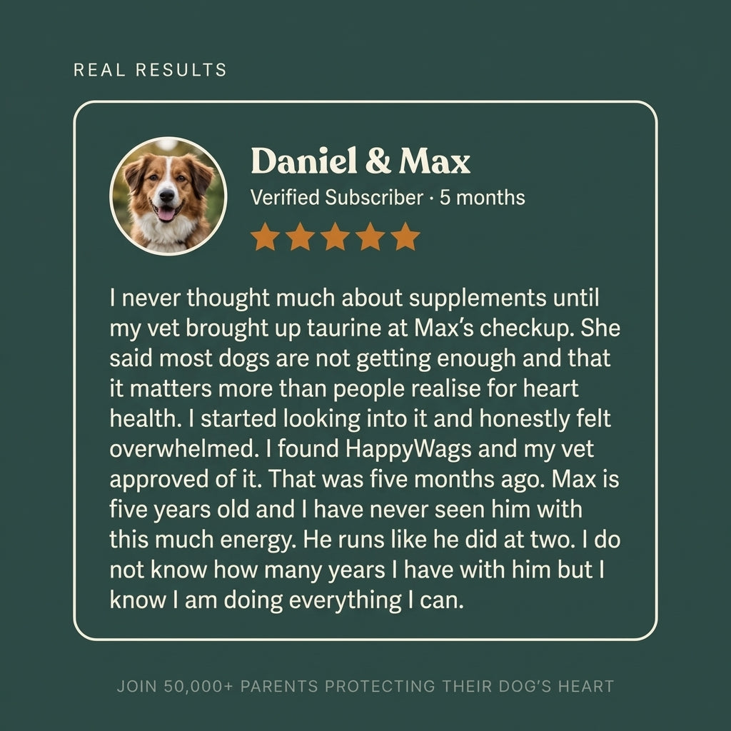 HappyWags Taurine scoop