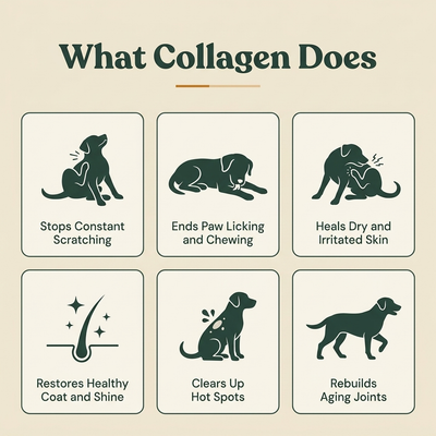 HappyWags™ Liquid Collagen