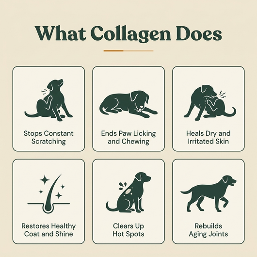 HappyWags™ Liquid Collagen