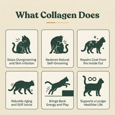 HappyWags™ Liquid Collagen