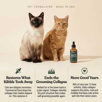 HappyWags™ Liquid Collagen