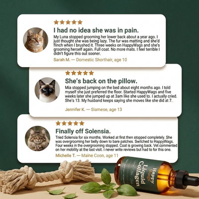 HappyWags™ Liquid Collagen