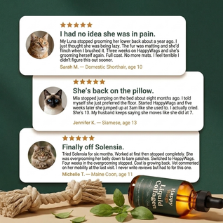 Liquid Collagen For Cats